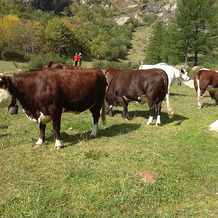 Monte Giove Couette-café 3*